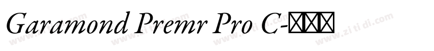 Garamond Premr Pro C字体转换